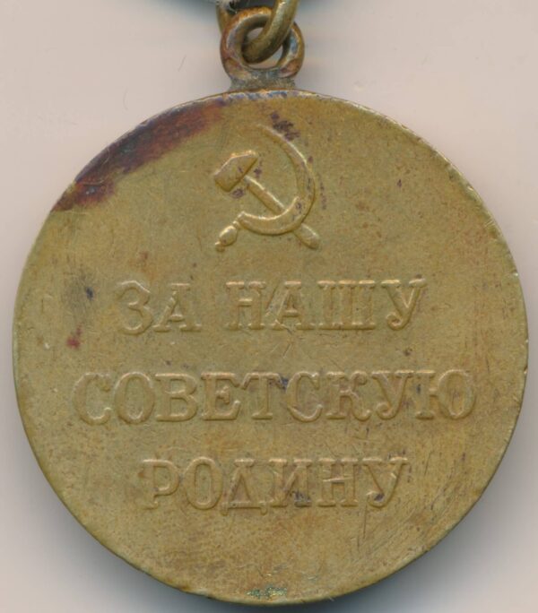 Medal for the Defense of the Artic Region