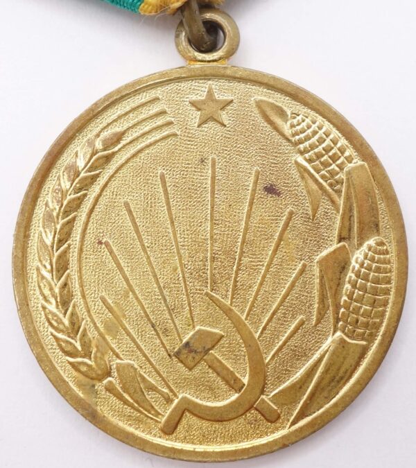 Soviet Medal for the Development of Virgin Lands