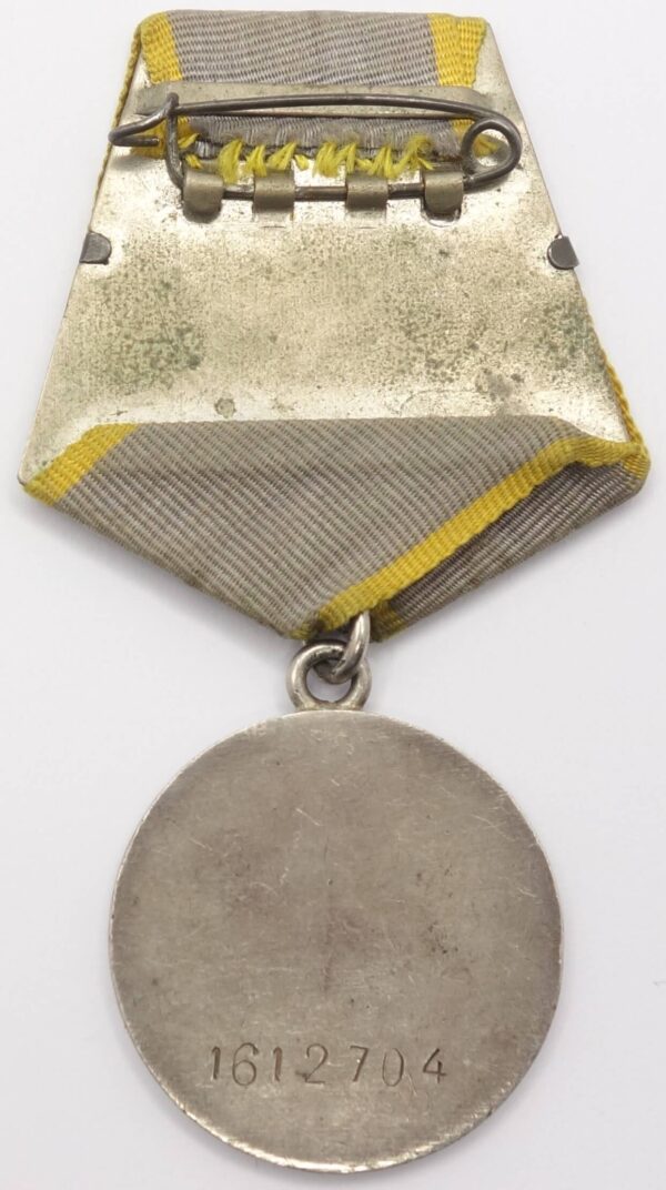 Medal combat Merit pilot
