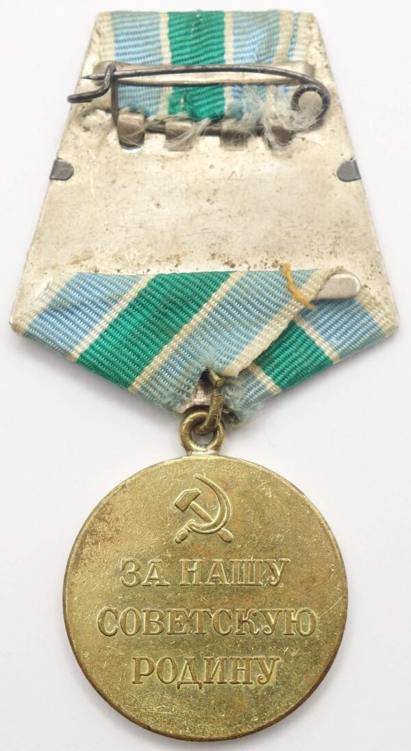 Medal for the Defense of the Arctic