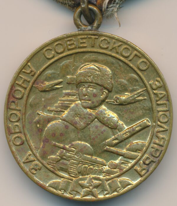 Medal for the Defense of the Polar Region