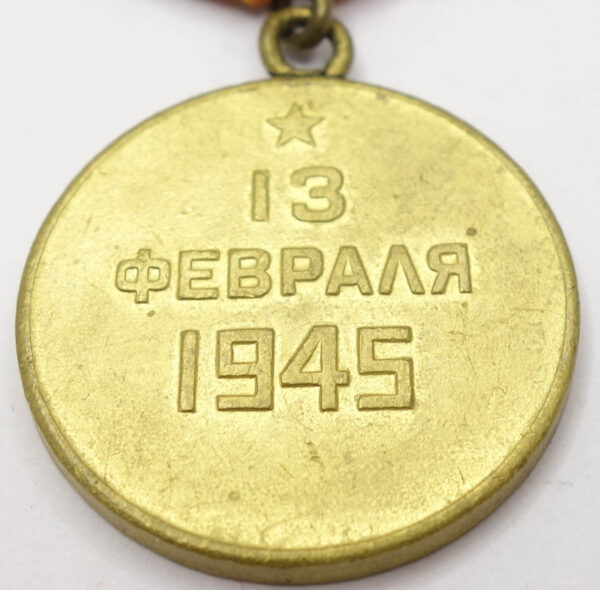 Soviet Medal for the Capture of Budapest variation 1b - Image 10