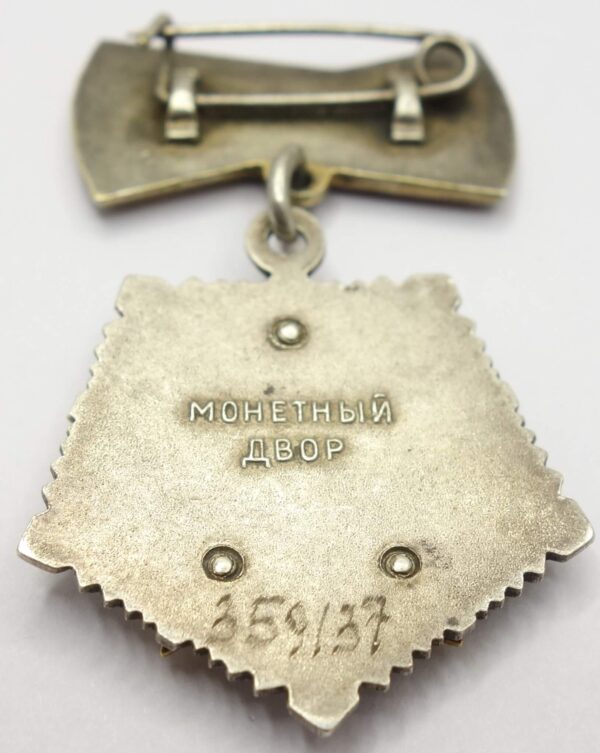 Soviet Order of Mother Heroine #359137 - Image 8