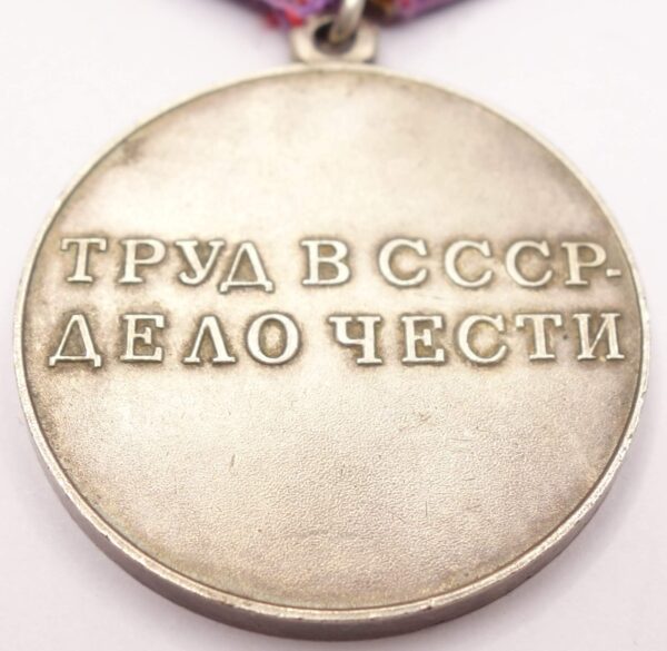 Soviet Medal for Labor Valor - Image 9