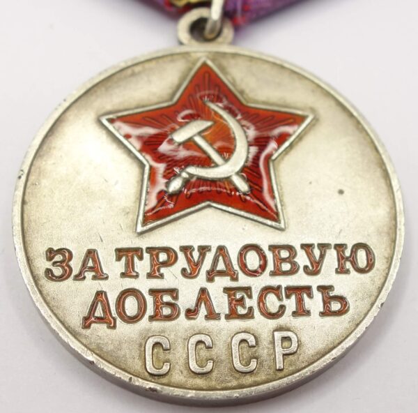 Soviet Medal for Labor Valor - Image 7