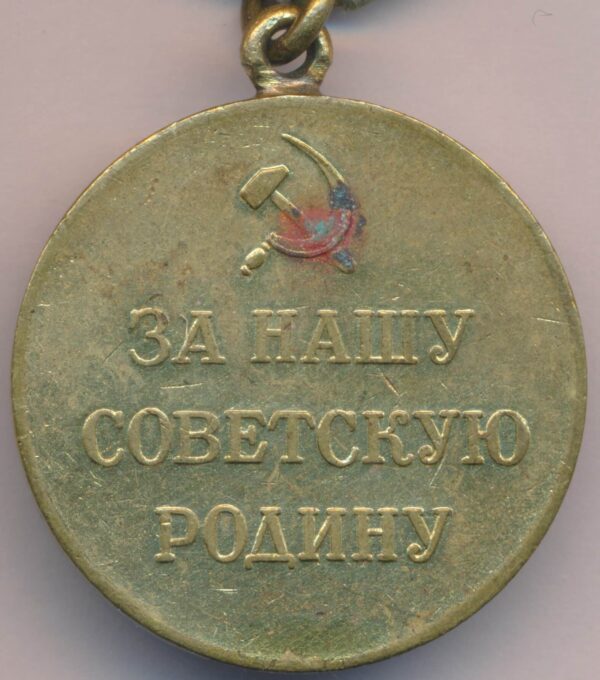 Soviet Medal for the Defense of the Polar Region variation 1 - Image 4