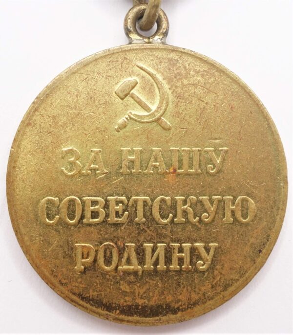 Soviet Medal for the Defense of the Polar Region variation 1 - Image 2