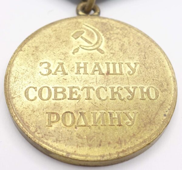 Soviet Medal for the Defense of the Polar Region variation 1 - Image 10