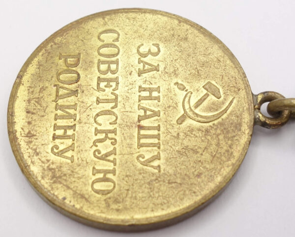 Soviet Medal for the Defense of the Polar Region variation 1 - Image 11