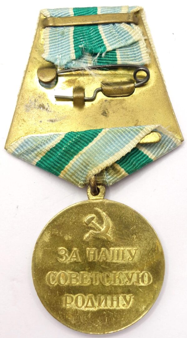 Medal for the Defense of the Polar Region