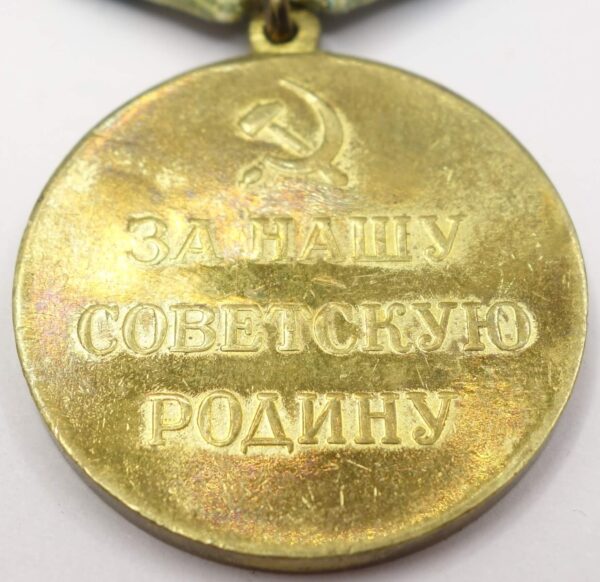 Soviet Medal for the Defense of the Polar Region variation 2 - Image 10