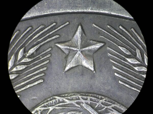 Soviet Medal for Distinction in the Protection of Public Order. Silver Variation - Image 16