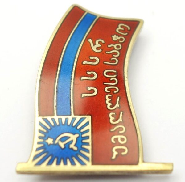 Supreme Soviet of Georgia membership/ deputy badge (stickpin variation) #150 - Image 8