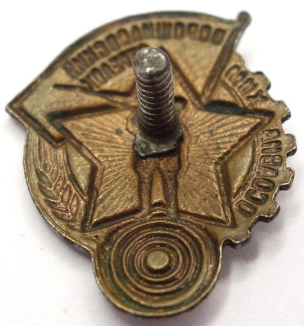 Voroshilov Marksman badge, OSOAVIAKHIM issue, 1st level small version - Image 8