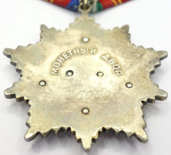 Soviet Order of Friendship of Peoples #35909 with booklet - Image 11
