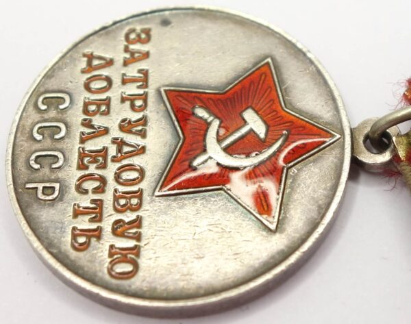 Soviet Medal for Labor Valor - Image 8