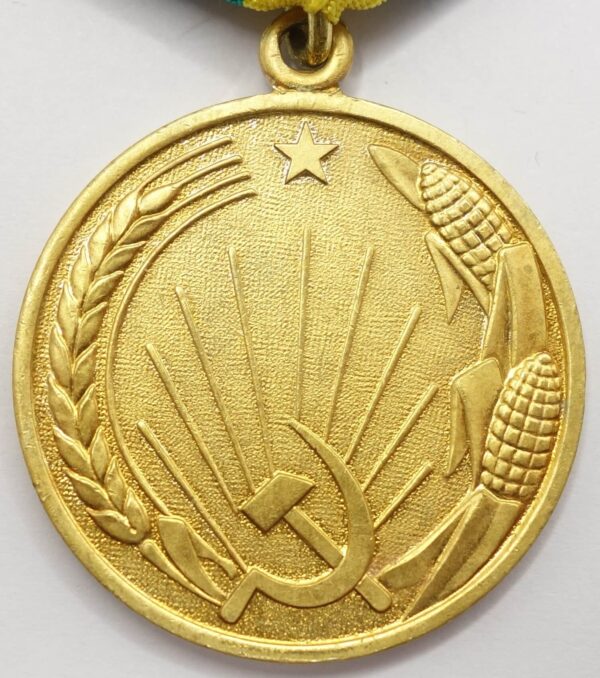 Soviet Medal for the Development of Virgin Lands variaition 2 with booklet - Image 5