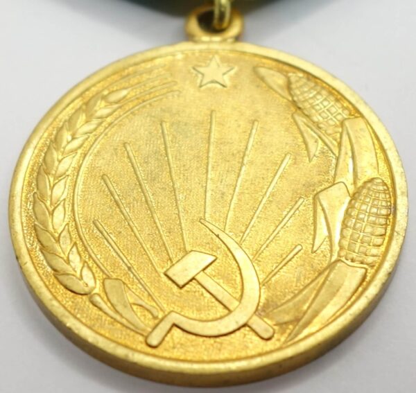 Soviet Medal for the Development of Virgin Lands variaition 2 with booklet - Image 11