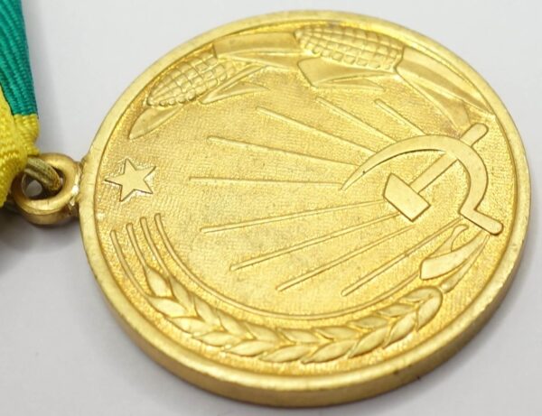 Soviet Medal for the Development of Virgin Lands variaition 2 with booklet - Image 13