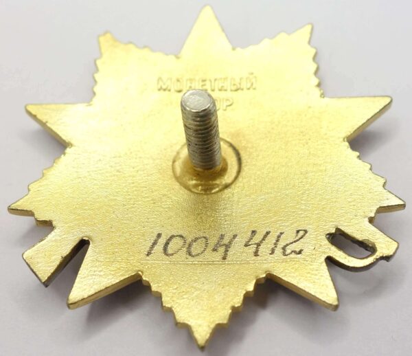 Complete Documented Group: Medal for Combat Merit #253032, Order of the Patriotic War 1st class #1004412, Medal for the Defense of Stalingrad and more - Image 23