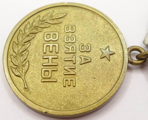 Soviet Medal for the Capture of Vienna variation 1 - Image 8