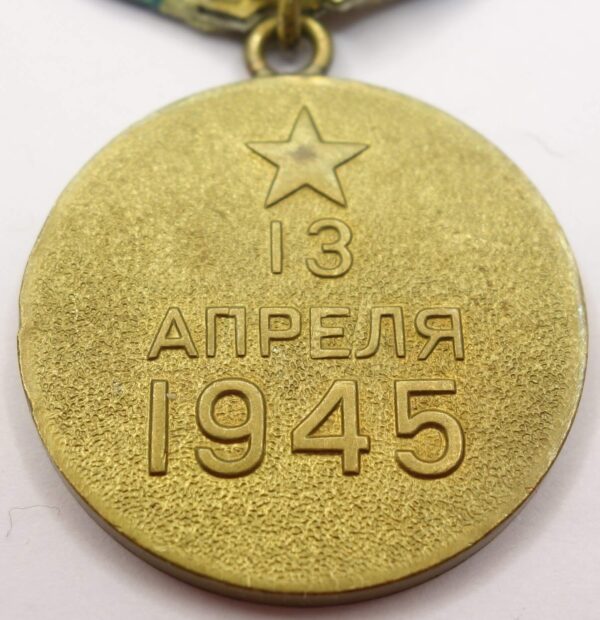Soviet Medal for the Capture of Vienna variation 1 - Image 10