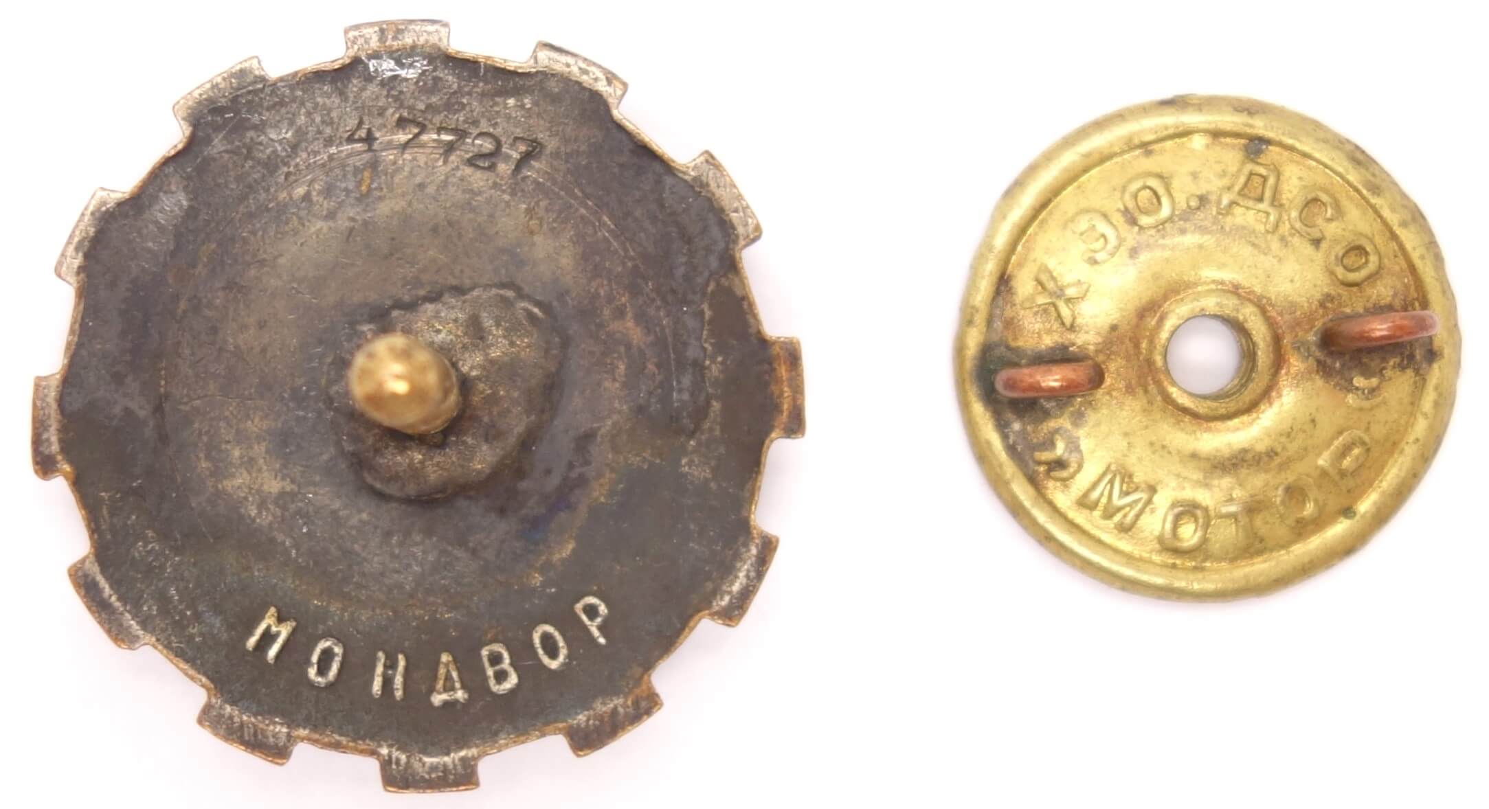 Badge for Mastering Technology