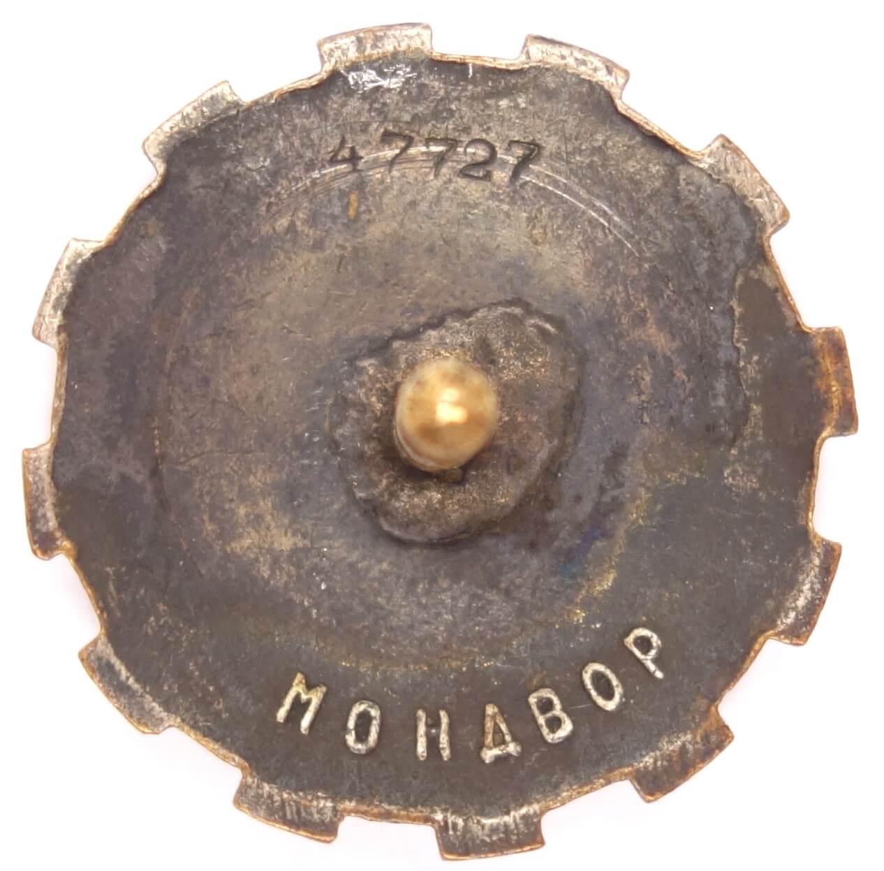 Badge for Mastering Technology #47727 - Image 4