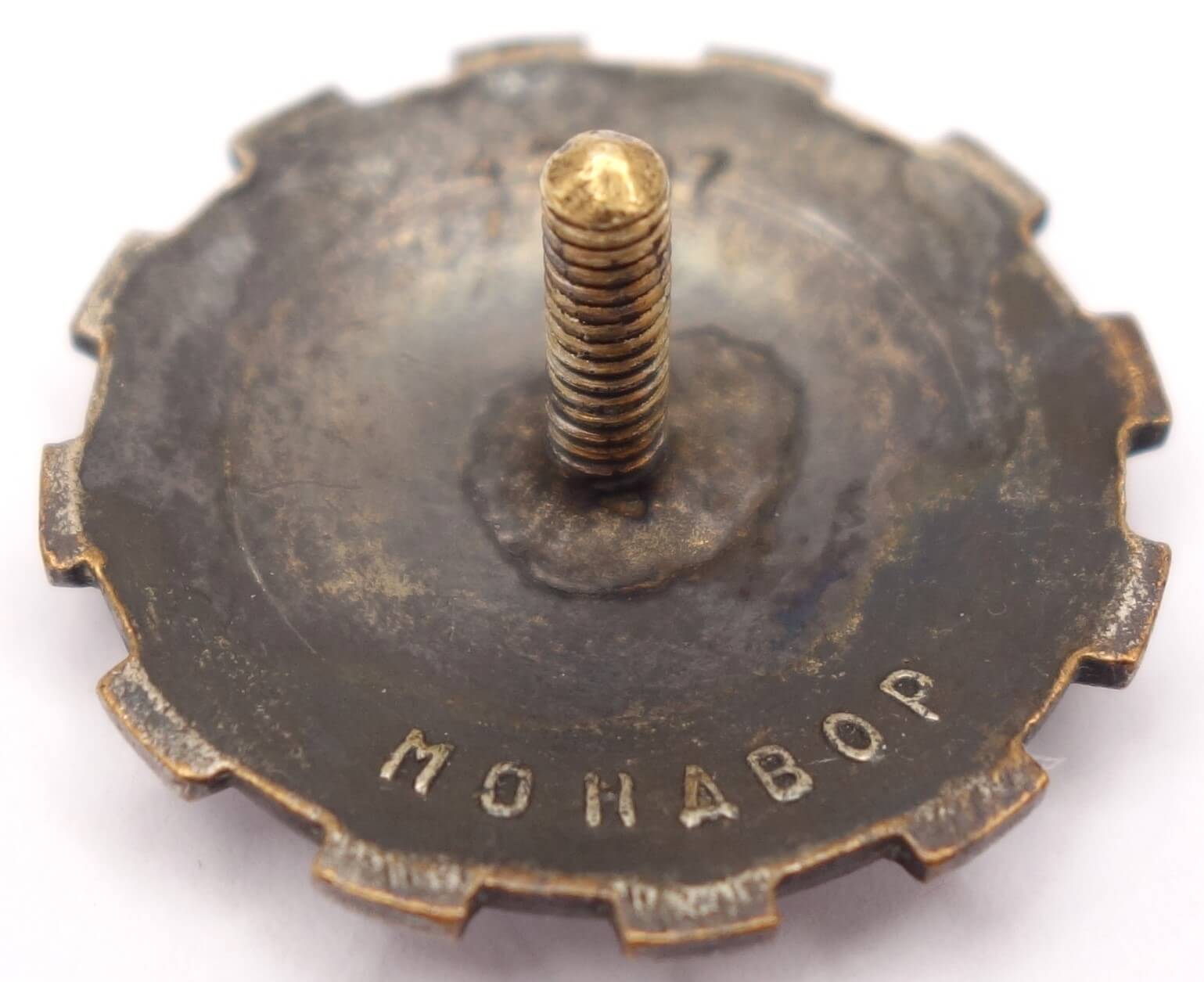 Badge for Mastering Technology #47727 - Image 8