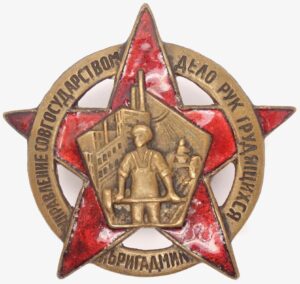 'Brigadmil' Voluntary Police Support Unit Badge