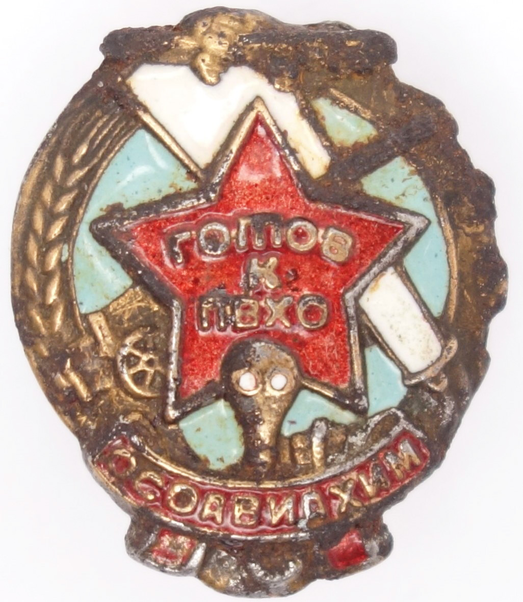 Ready for PVHO 'OSOAVIAKHIM' Badge