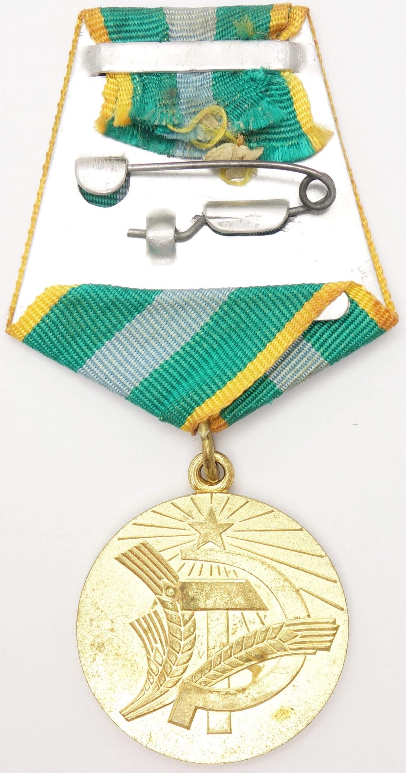 Medal for Transforming the Non-Black Earth