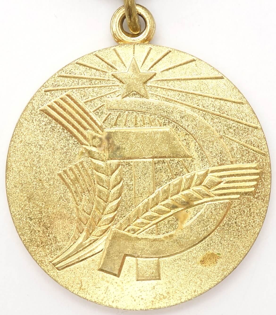 Medal for Transforming the Non-Black Earth