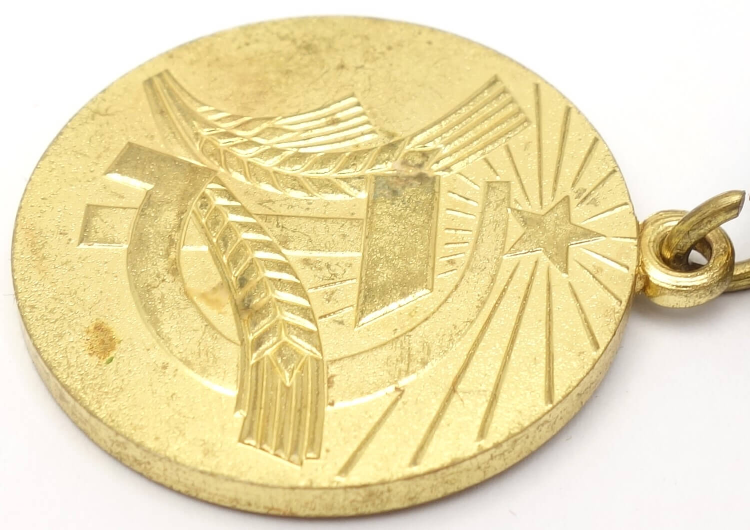 Soviet Medal for Transforming the Non-Black Earth of the RSFSR - Image 11