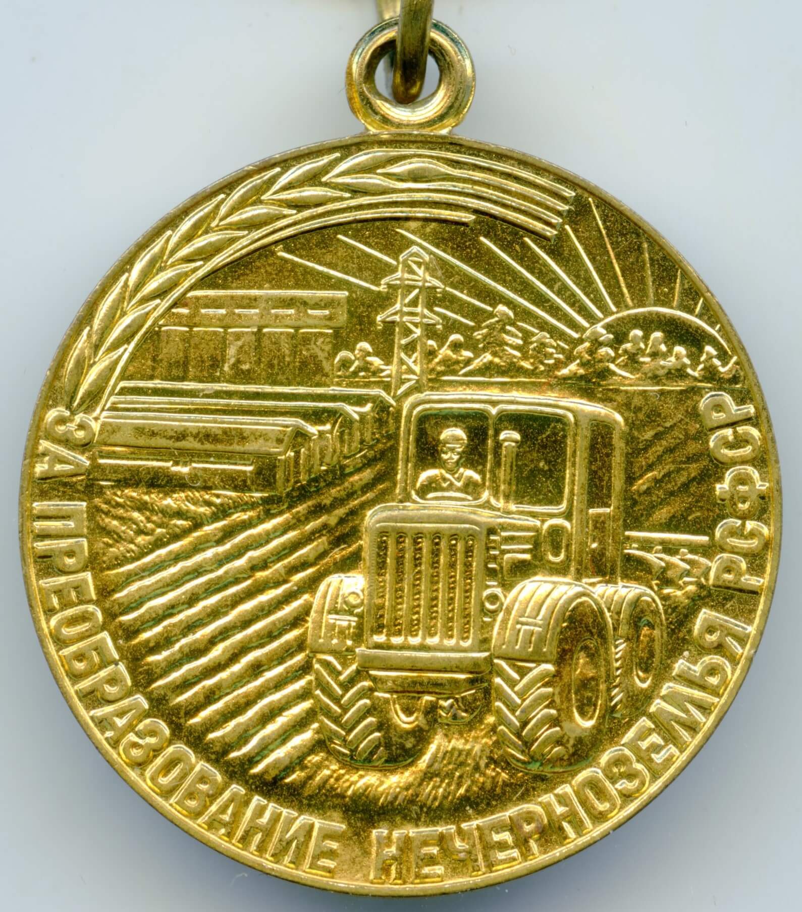 Soviet Medal for Transforming the Non-Black Earth of the RSFSR - Image 3