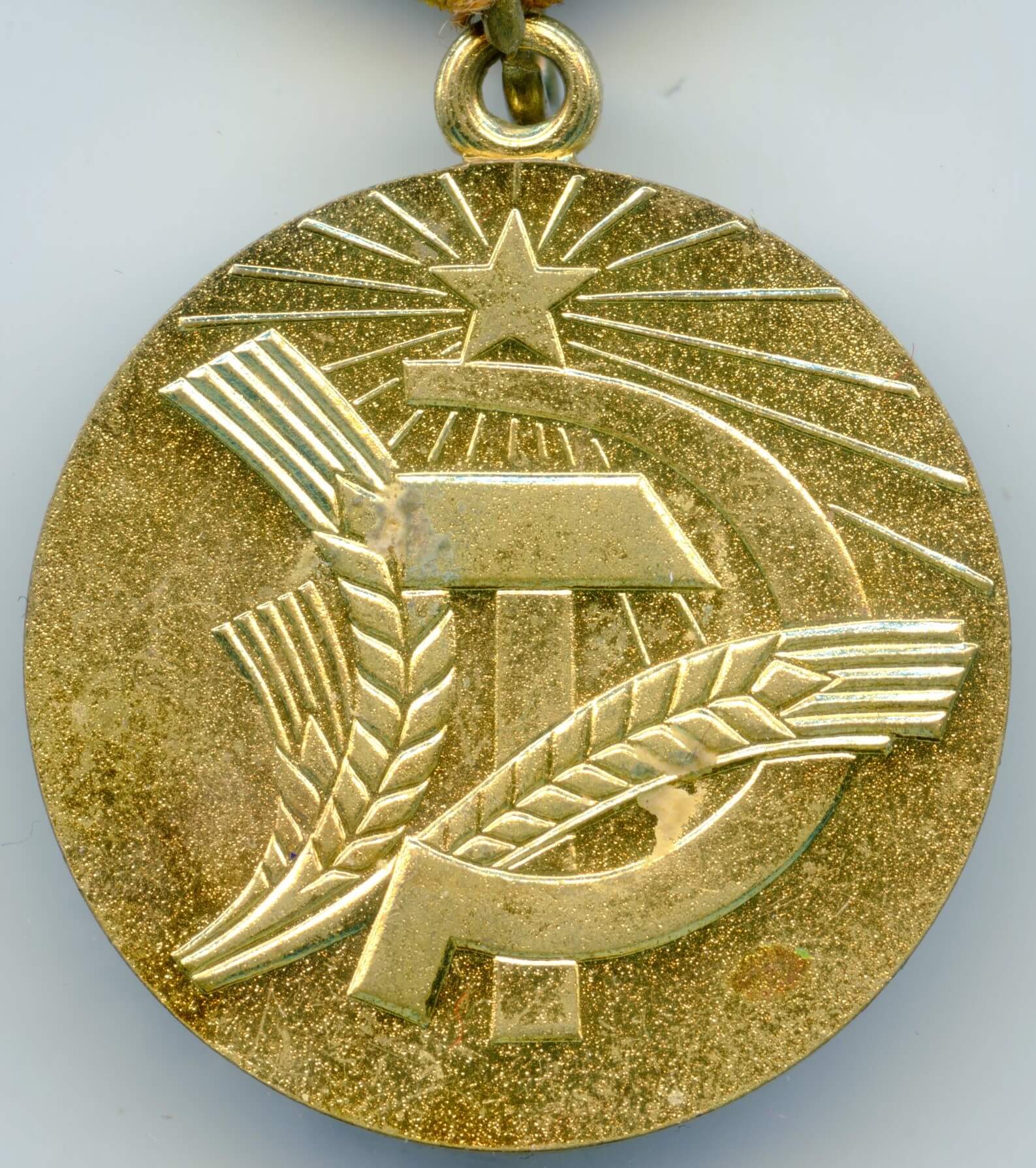Soviet Medal for Transforming the Non-Black Earth of the RSFSR - Image 4
